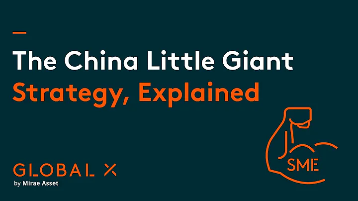 Empower Excellence, Unlock Growth Potential: China Little Giant, Strategy Explainer, Global X ETFs - DayDayNews