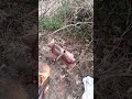 lo mejor de la pesca...compartir una mesa d comida con amigos en el rio y las cañas en el agua