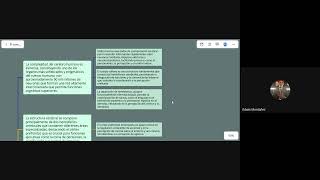 Sustentación videos propuestos