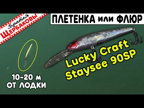 Lucky Craft Staysee 90SP. BRAID or FLUORO? Comparing the action at 10m and 20m. Underwater footage!