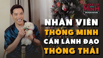 Nhân viên thông minh cần lãnh đạo thông thái | Wake Up With Minh – Tips From Harvard