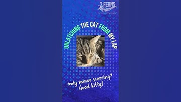 Cookbook Consultant’s Day: My Proven Self-Publishing To-Do Blueprint