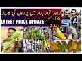 LAHORE SUNDAY BIRDS MARKET |Shalimar|05-DECEMBER- 2021 LATEST UPDATE | @Parrots Information Channel