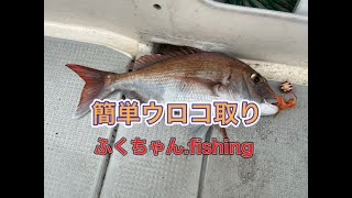 【簡単魚ウロコ取り】魚のウロコ取り