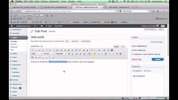 Wordpress WYSIWYG editor