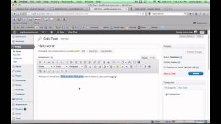 Wordpress WYSIWYG editor