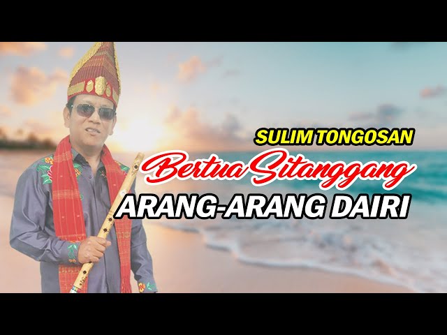 Arang - Arang Dairi Versi Bertua Sitanggang Sulim Tongosan dan Sarune class=