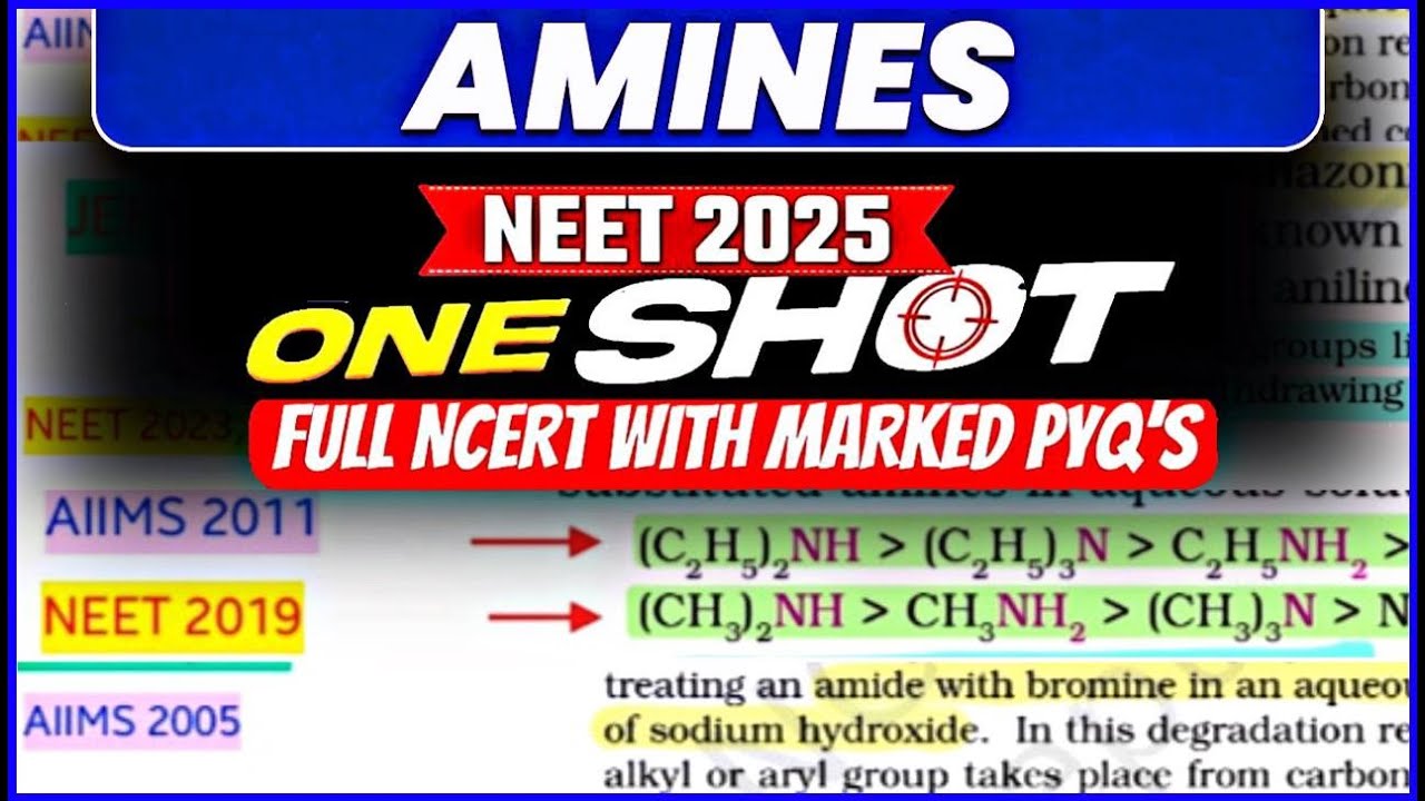 AMINES ️NCERT ONE SHOT🔥NEET AIIMS JEE NCERT line by line NEET+JEE#neet ...