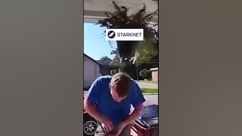 Starknet #bitcoin #starknet #starknetairdrop #airdrop #memes #funny #rofl