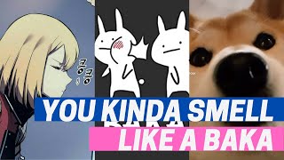 You kinda smell like a baka | Shiba inu | Anime Tiktok Trend 2021