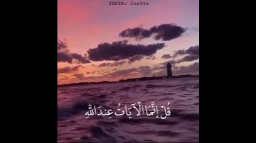 وقالوا لولا أنزل عليه آيات من ربه / القارئ عبدالرحمن مسعد