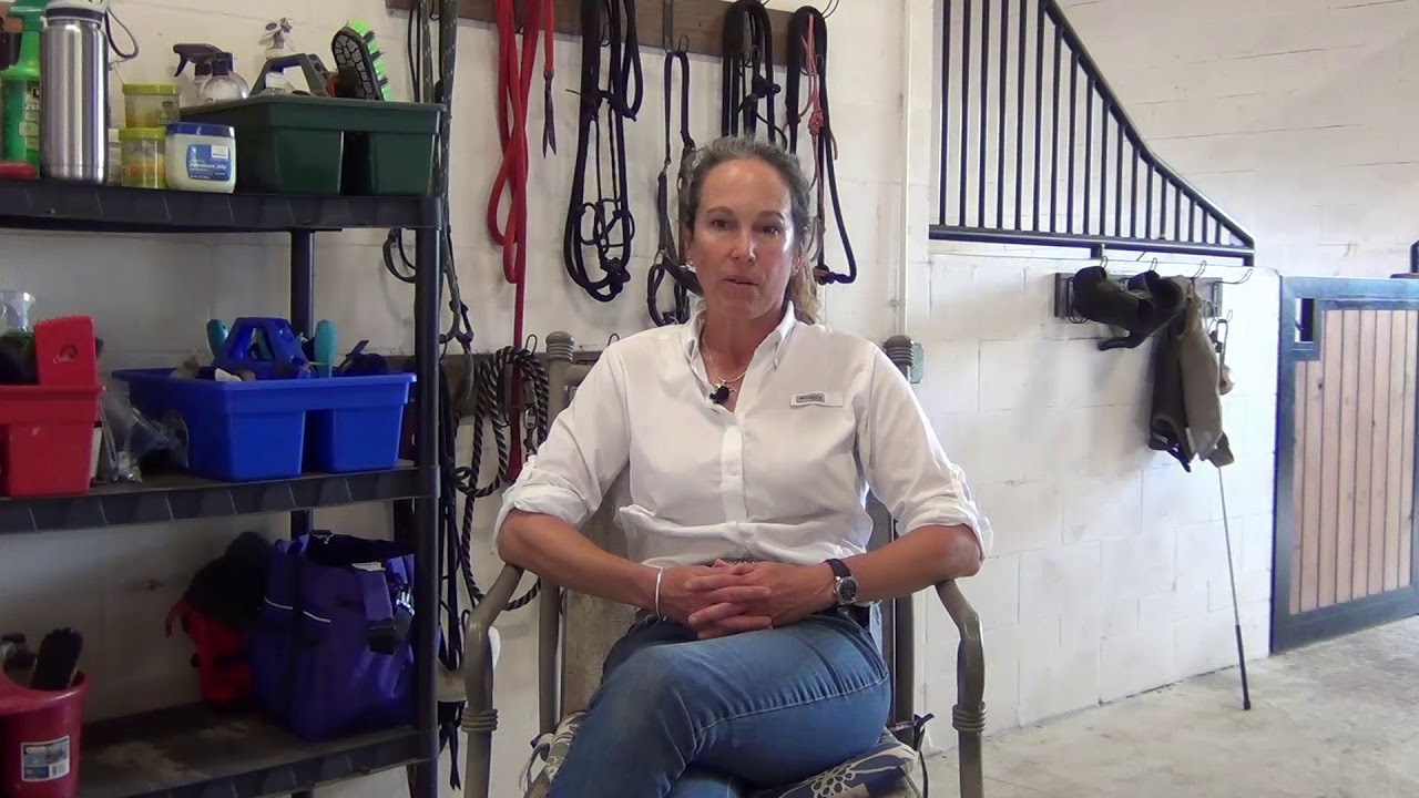 Holistic Horse Care and Wellness Guide Introduction to FREE Video Series YouTube