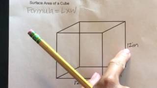 How to find the Surface Area of a Cube