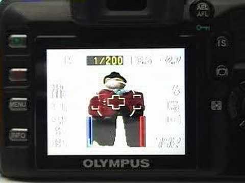 Olympus E-510 Live View LCD