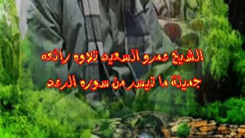الشيخ عمرو السعيد تلاوه رائعه جميلة ما تيسر من سوره الرعد