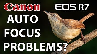 Canon R7 Autofocus Problems? What's wrong with the Autofocus?