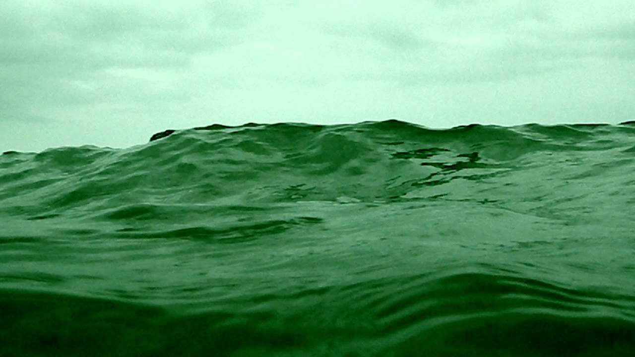 "Beach Life" - Le Ren