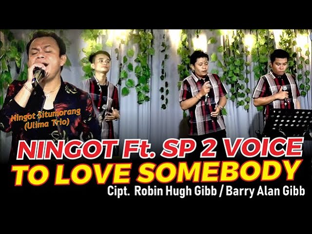 SP 2 VOICE FEAT NINGOT - TO LOVE SOMEBODY - GIDEON MUSICA OFFICIAL class=