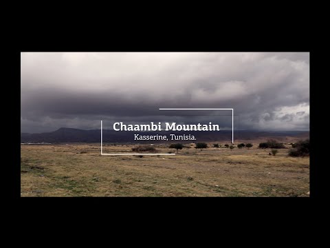 Chaambi Mountain