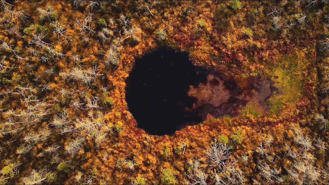 Erdély legjei - Hargita megye: Mohos-tőzegláp