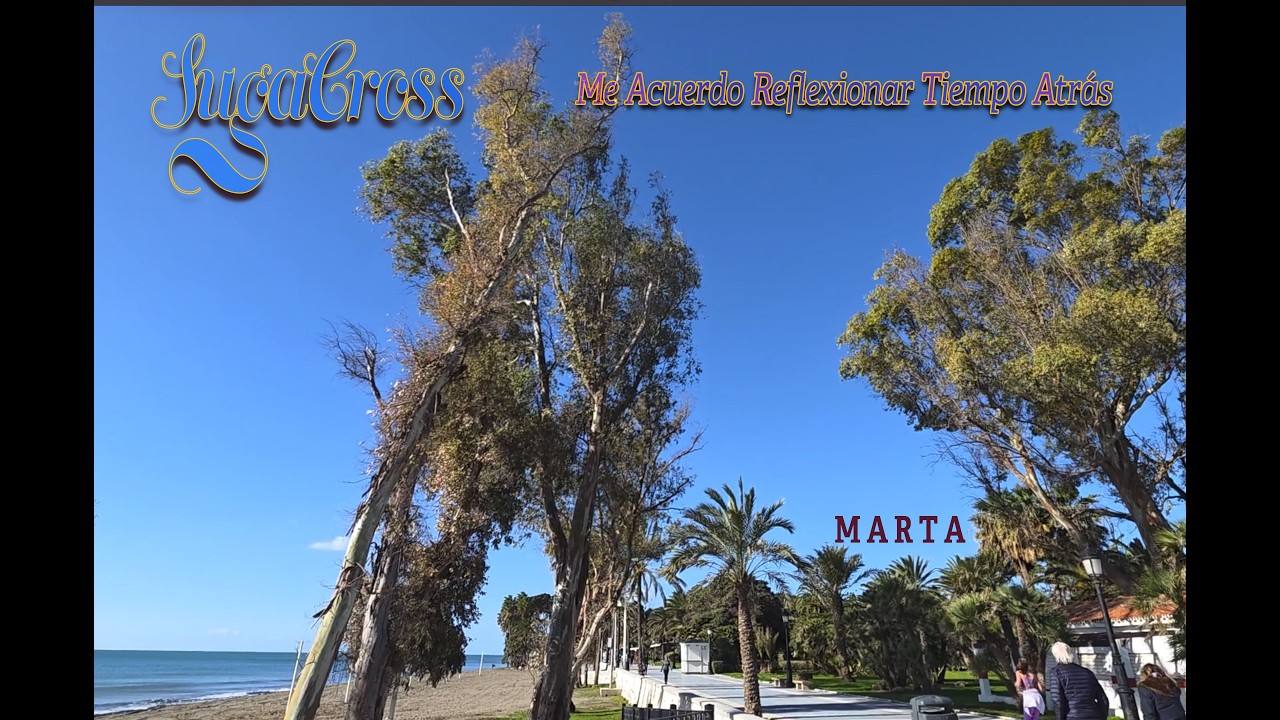CANCIÓN platónica. Me Acuerdo Reflexionar Tiempo Atrás. (Marta)