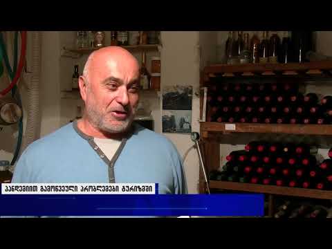 პანდემიით გამოწვეული პრობლემები ტურიზმში