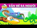 RẮN ĐẺ RA NGƯỜI - PHIM HOẠT HÌNH - TRUYỆN CỔ TÍCH - HOẠT HÌNH GIẢI TRÍ - TỔNG HỢP PHIM HAY