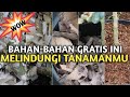 IDE MULSA GRATIS UNTUK TANAMANMU DI MUSIM KEMARAU