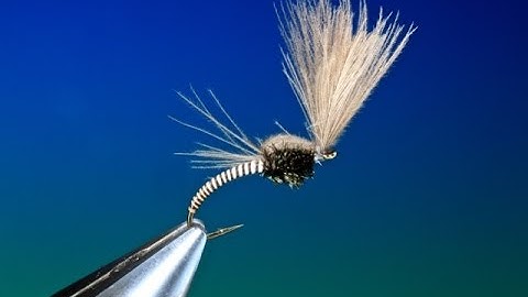 Tying the moose mane midge emerger with Barry Ord Clarke