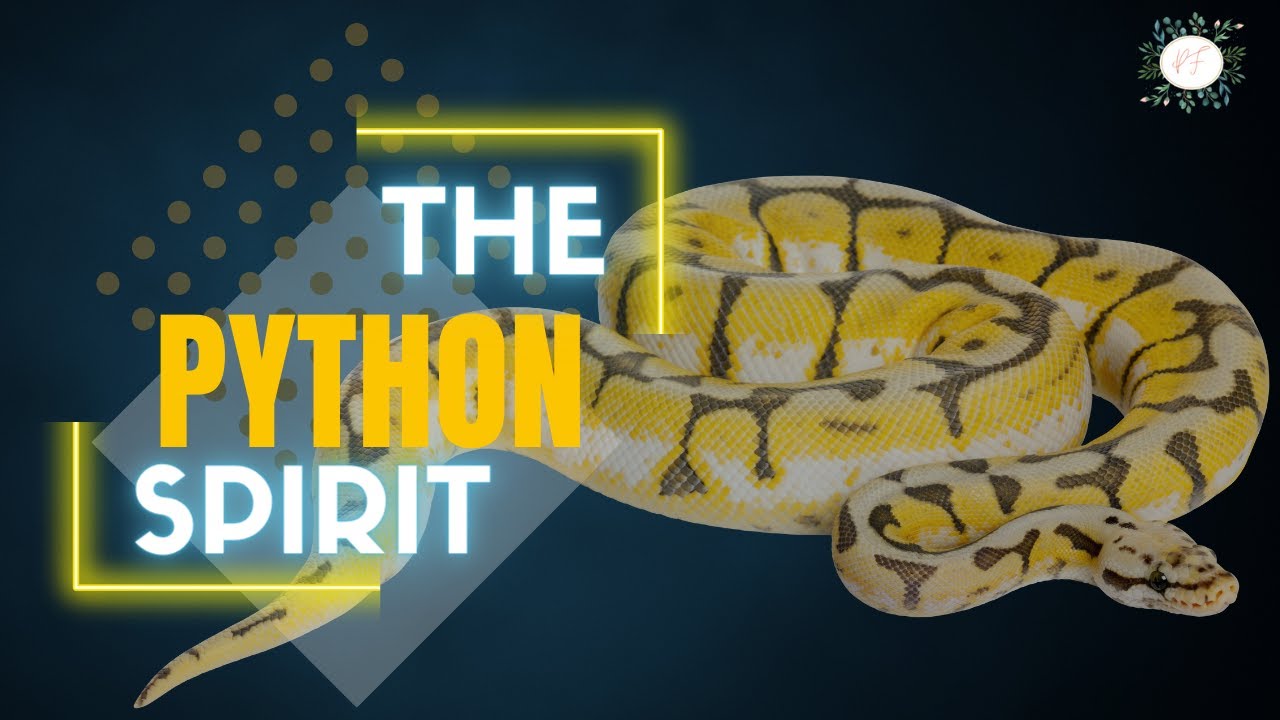 The Python Spirit - YouTube