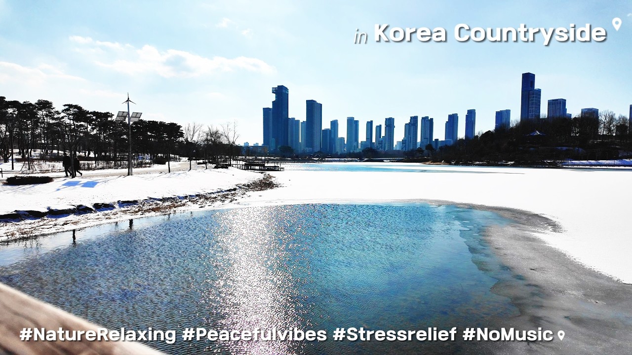 4K | Winter in Korea: Snowy Lake Park | 눈 내린 호수공원 산책 ☃️❄️ 