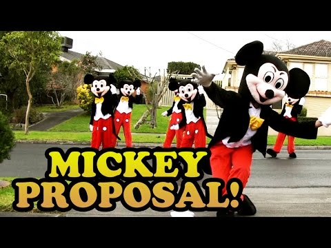 Mickey Mouse Proposal! (Jehan & Vish 2014)