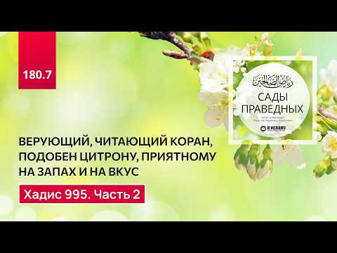180.7 Сады праведных. Верующий, читающий Коран, подобен цитрону. Хадис 995. Часть 2