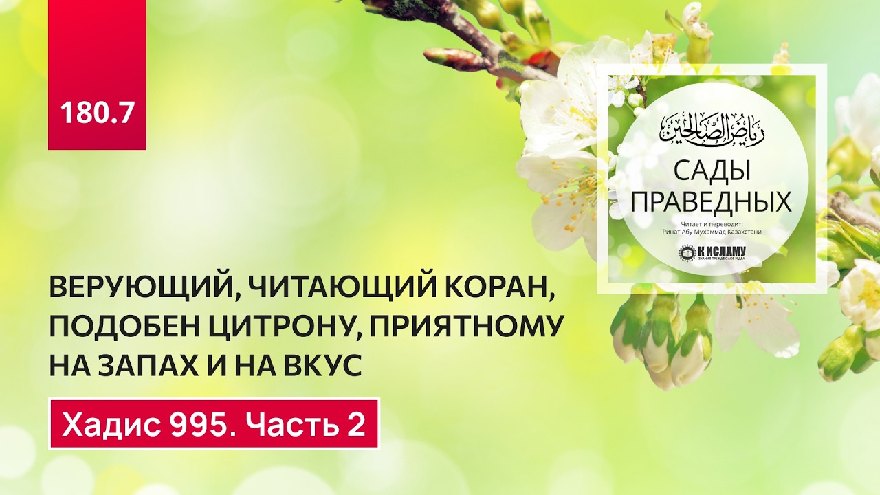 180.7 Сады праведных. Верующий, читающий Коран, подобен цитрону. Хадис 995. Часть 2