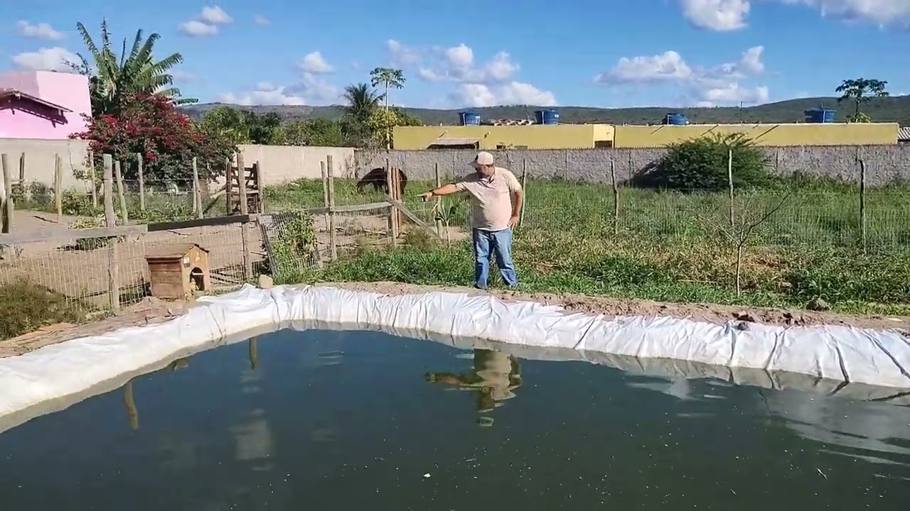 Passo a passo como fazer um tanque de tilápia. 