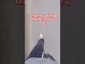 motivasi kehidupan #motivation #fyp #viral