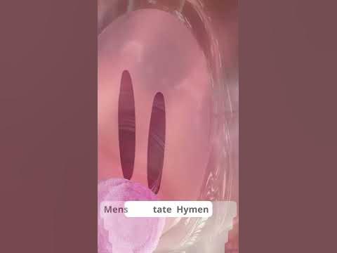 Гимен и его структура - YouTube
