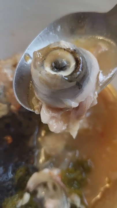 Fish eye balls #readytodevour #trendingfood #youtubeshorts #viralfood