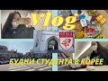 [VLOG]  Новый Семестр в Корее/Распаковка Продуктов/Онлайн Собрания