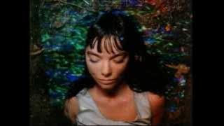 Bjork - Hyperballad official video
