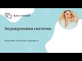 Эндокринная система.