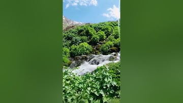 "وَلَقَد أَنزَلنا إِلَيكَ آياتٍ بَيِّناتٍ وَما يَكفُرُ بِها إِلَّا الفاسِقون" #علي_جابر #اجر_لي_ولك