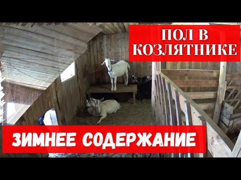 Пол в козлятнике и содержание коз зимой