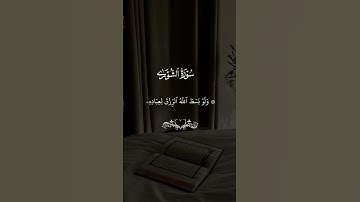تلاوة خاشعة من سورة الشورى بصوت الشيخ القارئ #مشاري_العفاسي #quran #اكسبلور #قرآن