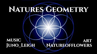 Natures Geometry  Music by @Juno_Leigh  Visuals By @Natureofflowers