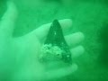 MEGALODON SHARK TOOTH SCUBA DIVING