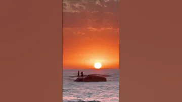 واللي زهره مكفس وين مايروح طافية Hasni España France Chebhasni 