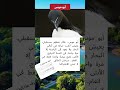 طائر المستقبل أبو موس