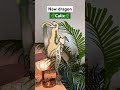 New Dragon!!🌿 #dragonpuppets #paperdragon #paperdragonpuppet #art # Calix