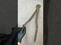 Can This Rusty Tool Be Saved? See What Happens!
